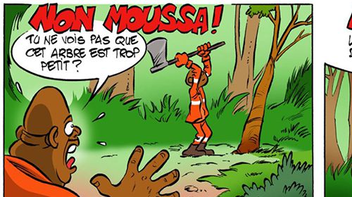 Je prends toutes les précautions avant d'abattre un arbre