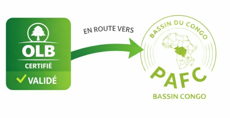 🌿 Two major announcements for Cameroon United Forests at the start of the year !